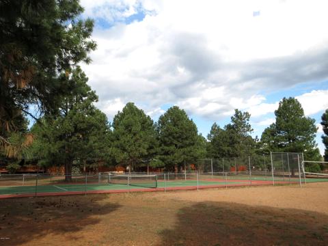 2715 High Pine Loop, Overgaard, AZ 85933 photo 30