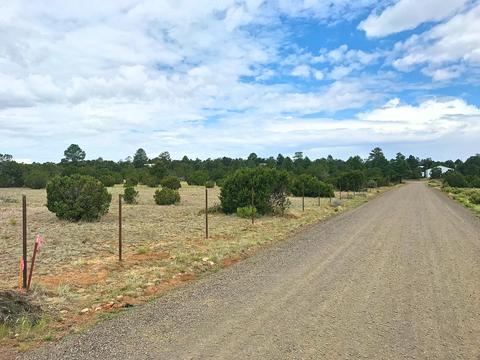 3383 Tonto Dr, Overgaard, AZ 85933 photo 10