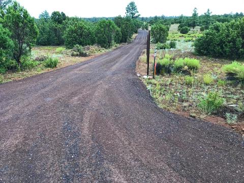 3383 Tonto Dr, Overgaard, AZ 85933 photo 7