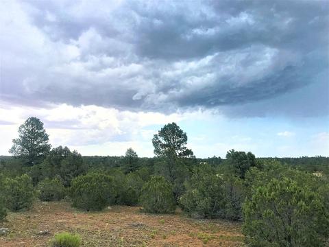 3383 Tonto Dr, Overgaard, AZ 85933 photo 13