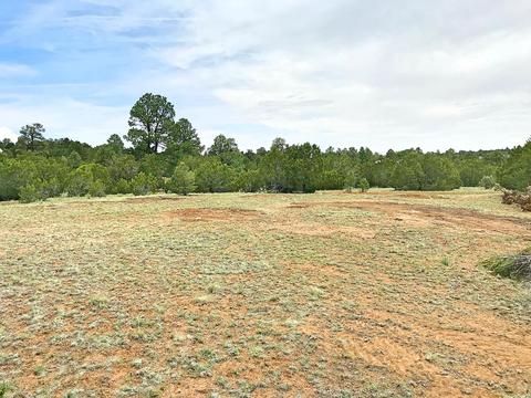 3383 Tonto Dr, Overgaard, AZ 85933 photo 5