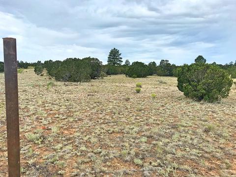 3383 Tonto Dr, Overgaard, AZ 85933 photo 9