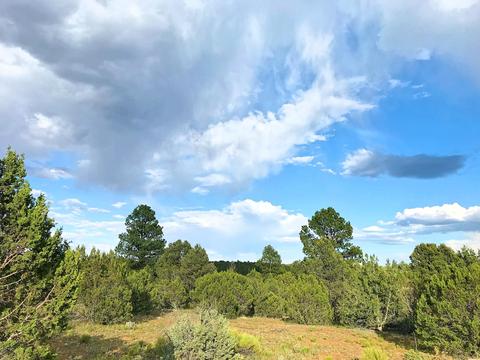 3383 Tonto Dr, Overgaard, AZ 85933 photo 4