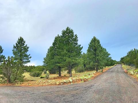 3383 Tonto Dr, Overgaard, AZ 85933 photo 8