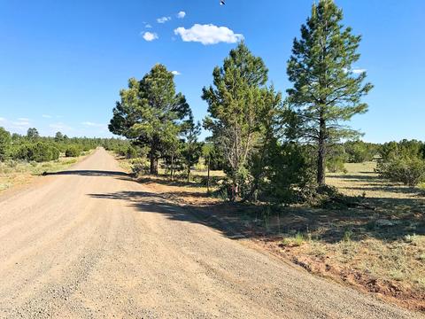 3383 Tonto Dr, Overgaard, AZ 85933 photo 6