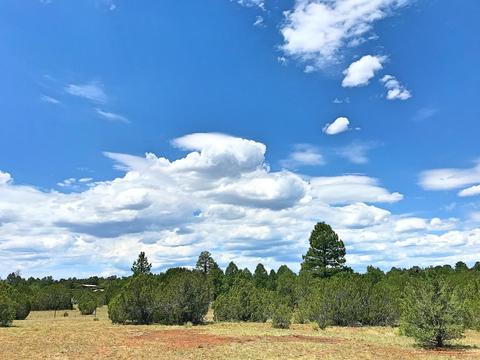 3383 Tonto Dr, Overgaard, AZ 85933 photo 14