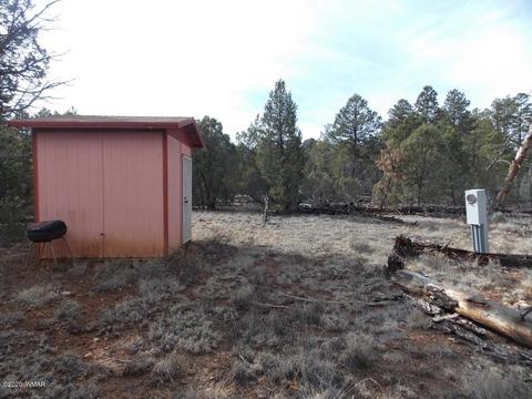 2065 Little Hawk Trl, Overgaard, AZ 85933 photo 3