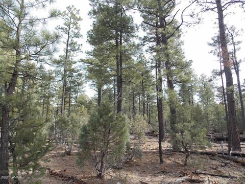 2065 Little Hawk Trl, Overgaard, AZ 85933 photo 1