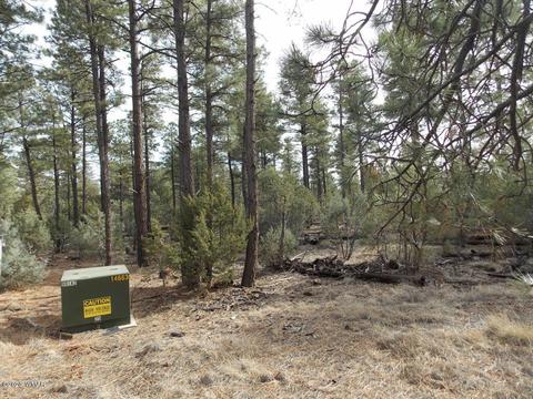 2065 Little Hawk Trl, Overgaard, AZ 85933 photo 7