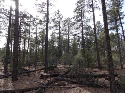2065 Little Hawk Trl, Overgaard, AZ 85933 photo 5