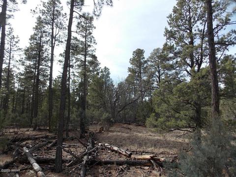 2065 Little Hawk Trl, Overgaard, AZ 85933 photo 4