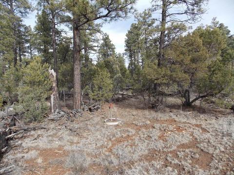 2065 Little Hawk Trl, Overgaard, AZ 85933 photo 6