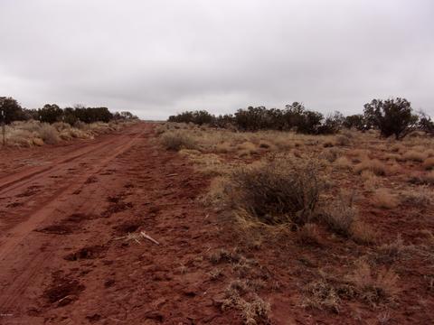 8399 Nutt Ln, Snowflake, AZ 85937 photo 4