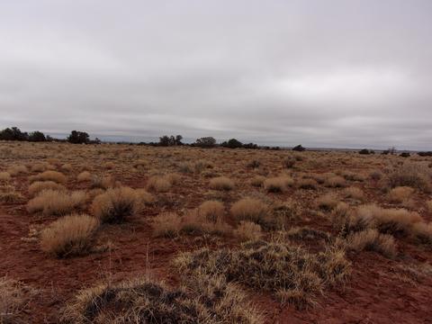 8399 Nutt Ln, Snowflake, AZ 85937 photo 3