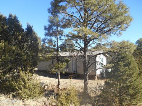 3557 Broken Arrow, Overgaard, AZ 85933 photo 2