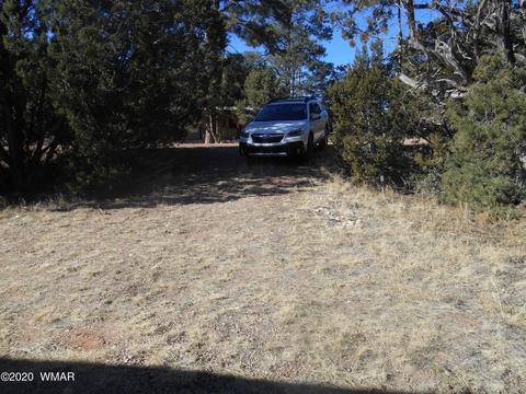 3557 Broken Arrow, Overgaard, AZ 85933 photo 11