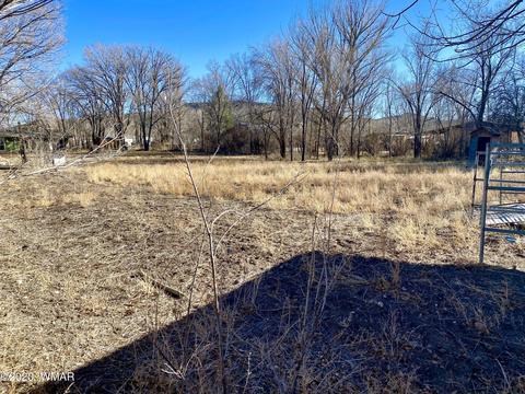 151 E Central Ave, Eagar, AZ 85925 photo 21