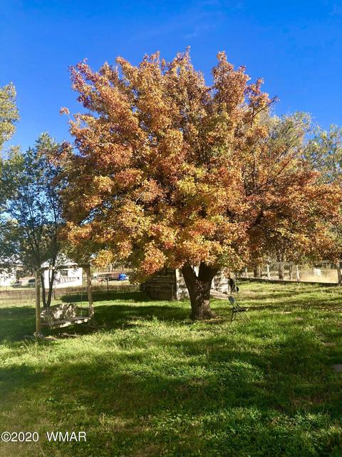 151 E Central Ave, Eagar, AZ 85925 photo 2