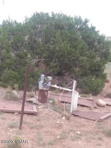 22 N5209, Concho, AZ 85924 photo 11