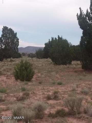 22 N5209, Concho, AZ 85924 photo 6