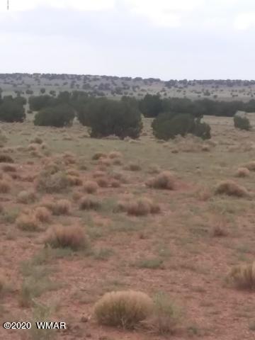 22 N5209, Concho, AZ 85924 photo 4