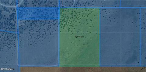 22 N5209, Concho, AZ 85924 photo 9