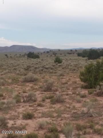 22 N5209, Concho, AZ 85924 photo 5