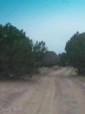 22 N5209, Concho, AZ 85924 photo 7