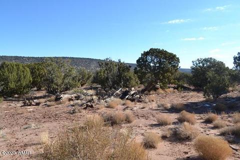 3935 Aztec, Snowflake, AZ 85937 photo 1