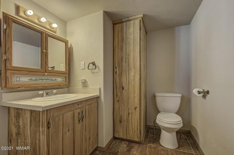 2226 Wrangler Way, Overgaard, AZ 85933 photo 20