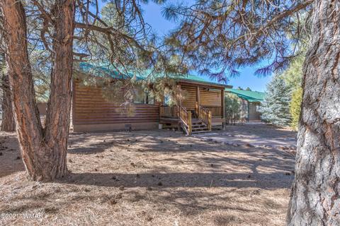 2683 Lodge Loop, Overgaard, AZ 85933 photo 29