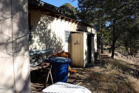 1989 Broken Arrow Rd, Overgaard, AZ 85933 photo 6