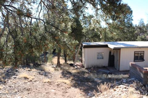 1989 Broken Arrow Rd, Overgaard, AZ 85933 photo 3