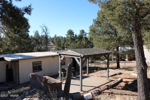 1989 Broken Arrow Rd, Overgaard, AZ 85933 photo 4