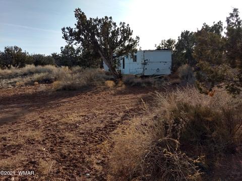 4151 Juniper Rd, Snowflake, AZ 85937 photo 4