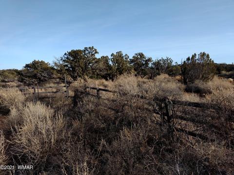 4151 Juniper Rd, Snowflake, AZ 85937 photo 12