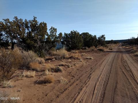 4151 Juniper Rd, Snowflake, AZ 85937 photo 2
