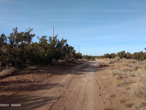 4151 Juniper Rd, Snowflake, AZ 85937 photo 3