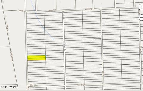 4151 Juniper Rd, Snowflake, AZ 85937 photo 38