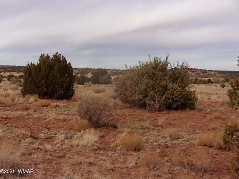 3908 Cortez Rd, Snowflake, AZ 85937 photo 1