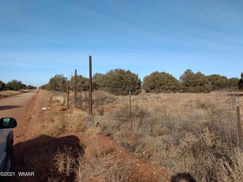 4343 E Pinto Rd, Snowflake, AZ 85937 photo 11