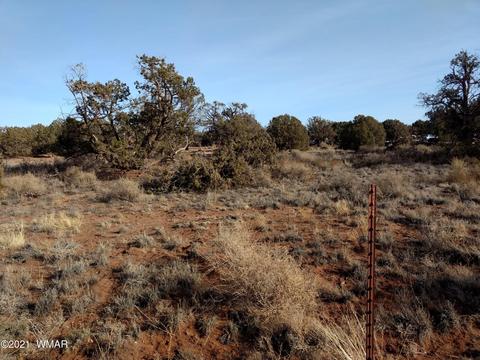 4343 E Pinto Rd, Snowflake, AZ 85937 photo 9