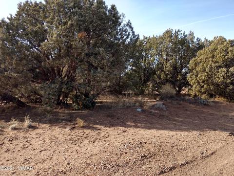 4343 E Pinto Rd, Snowflake, AZ 85937 photo 10