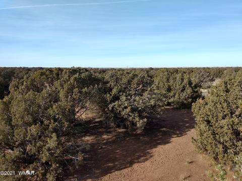 4343 E Pinto Rd, Snowflake, AZ 85937 photo 4
