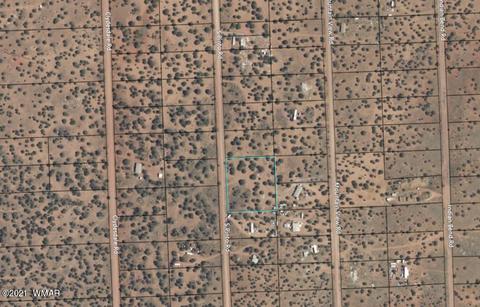 4343 E Pinto Rd, Snowflake, AZ 85937 photo 15