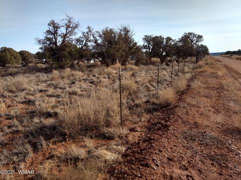4343 E Pinto Rd, Snowflake, AZ 85937 photo 12