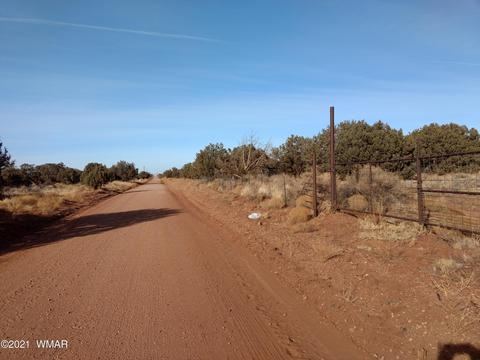 4343 E Pinto Rd, Snowflake, AZ 85937 photo 13