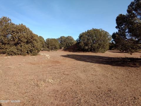 4343 E Pinto Rd, Snowflake, AZ 85937 photo 1