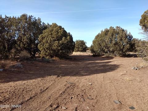 4343 E Pinto Rd, Snowflake, AZ 85937 photo 6