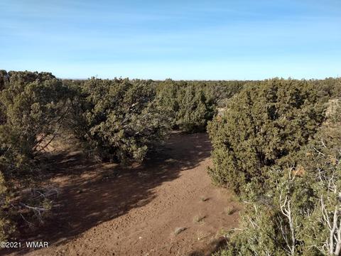 4343 E Pinto Rd, Snowflake, AZ 85937 photo 3